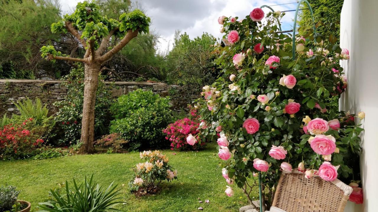 T1 Ou T2 Dans Villa Avec Jardin Proche Biarritz Anglet Exterior photo