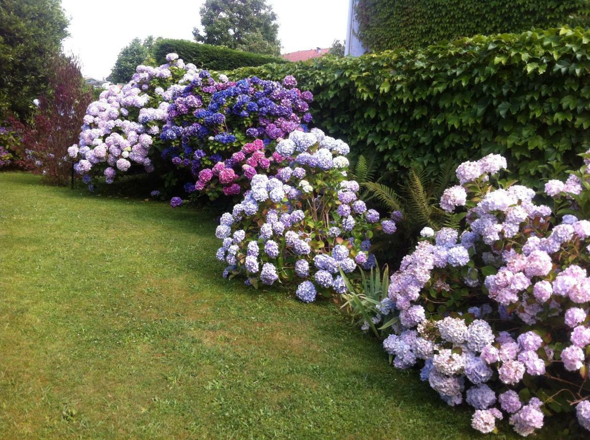 T1 Ou T2 Dans Villa Avec Jardin Proche Biarritz Anglet Exterior photo