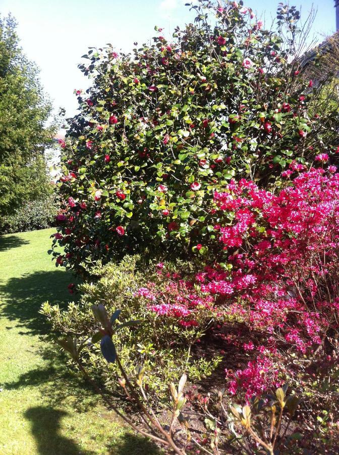 T1 Ou T2 Dans Villa Avec Jardin Proche Biarritz Anglet Exterior photo